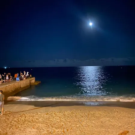 Apparemment Proche De La Cannes