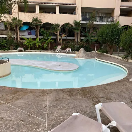 Apparemment Proche De La *