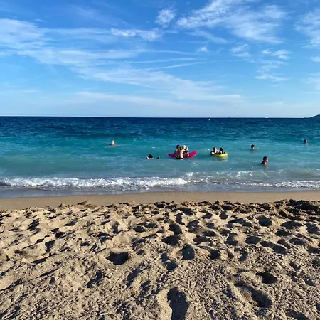 Apparemment Proche De La Cannes