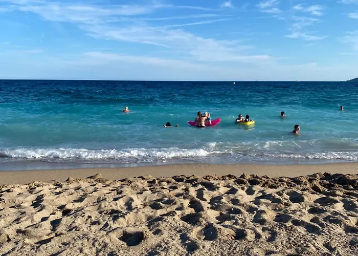 Apparemment Proche De La Cannes